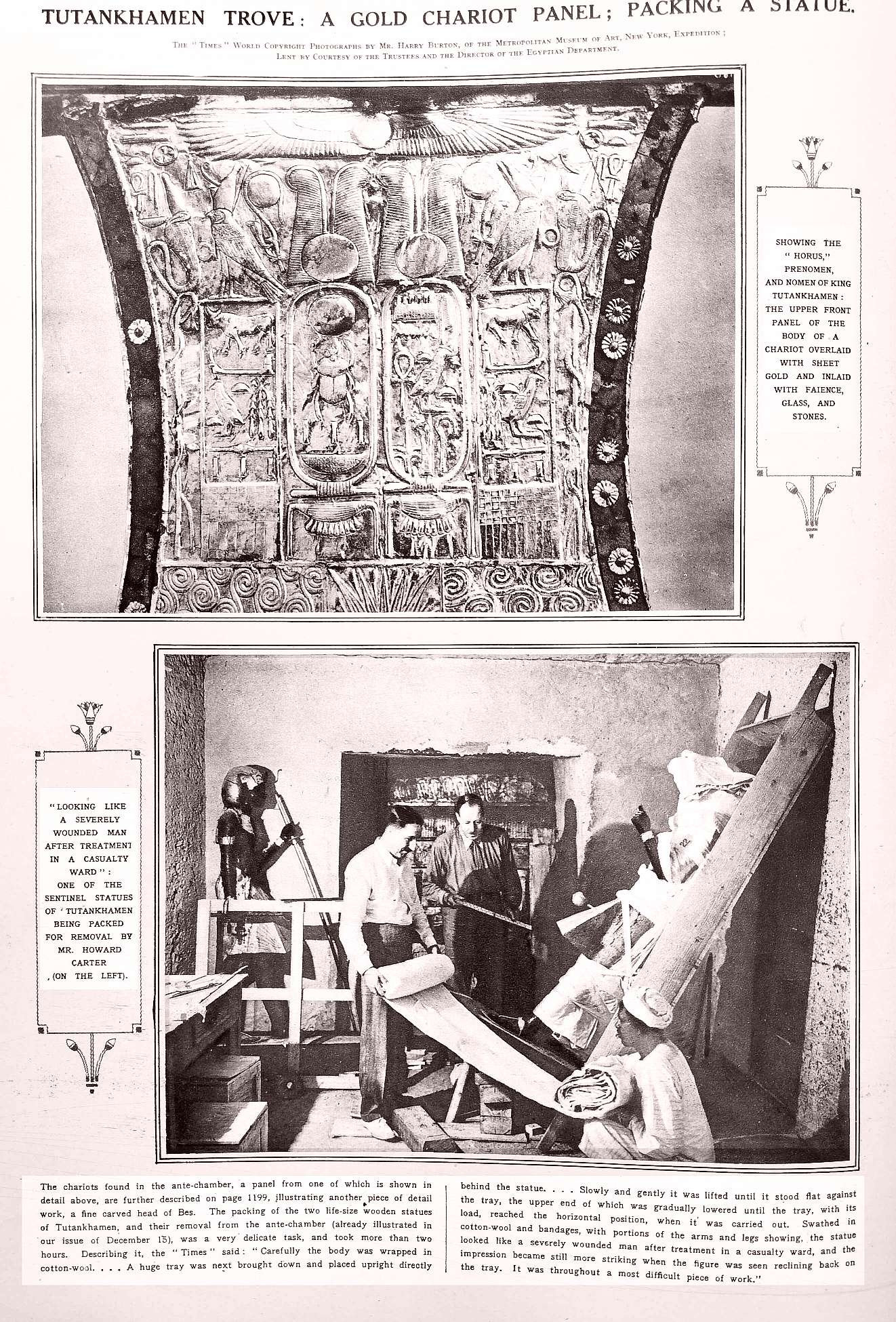 tut gold panel